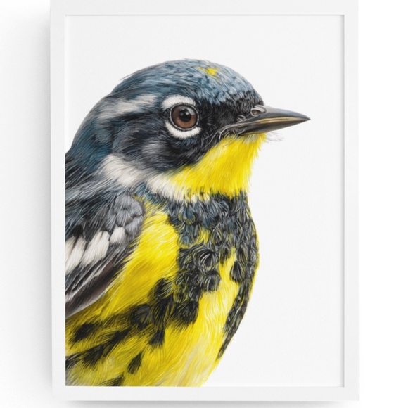 Watercolor Magnolia Warbler Bird Portrait Wall Art Print Poster , Unframed - Picture 1 of 7